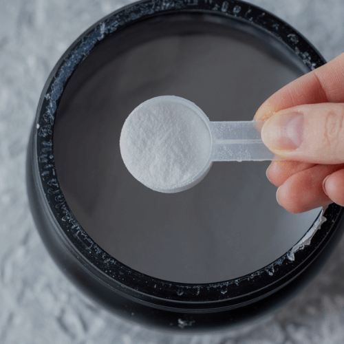 Assist™ Creatine Monohydrate 500g